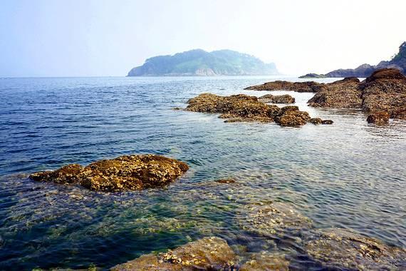孤岛惊魂原始杀戮